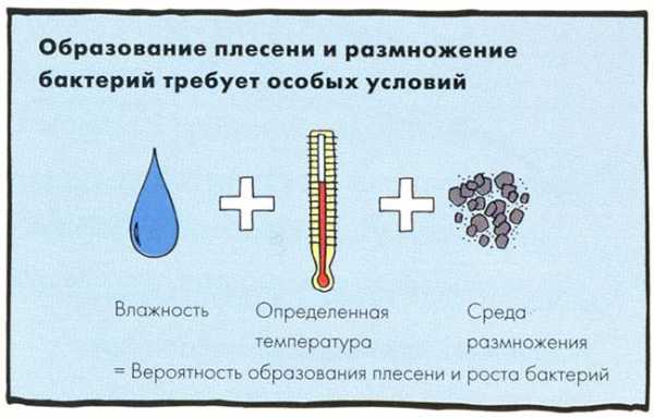 Антисептик от грибка по бетону