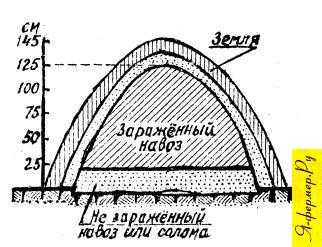 Борьба с насекомыми как называется