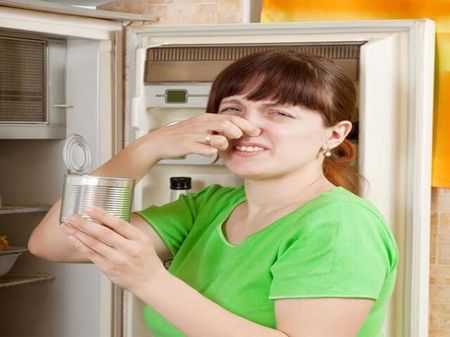 Чем отмыть плесень в холодильнике