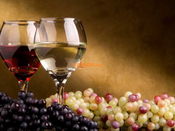 Чем отстирать красное вино с цветной ткани