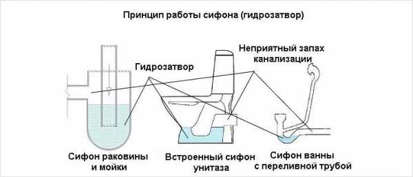 Как собрать слив для ванны