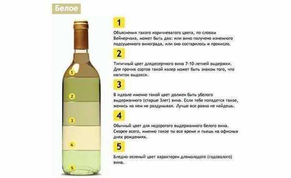 Какое выбрать белое вино