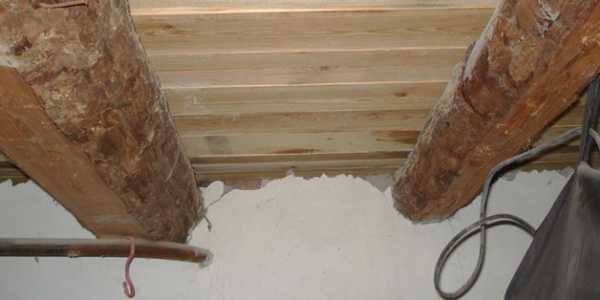 Сырость в подвале деревянного дома что делать